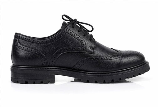 Chaussures Cuir 100%
